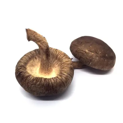 Dried Mushroom Shiitake Fungus