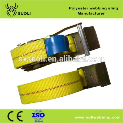 polyester webbing sling (lifting webbing sing) textile webbing sling