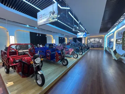 Stability Performance Electric Tricycle