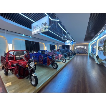 Stability Performance of Electric Tricycles: An Analysis
