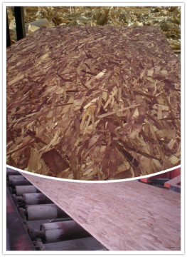 osb3 board for construction