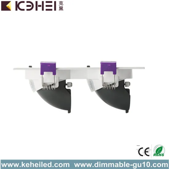 LED Indoor Lighting 2*7W Trunk Downlight Shop Lighting