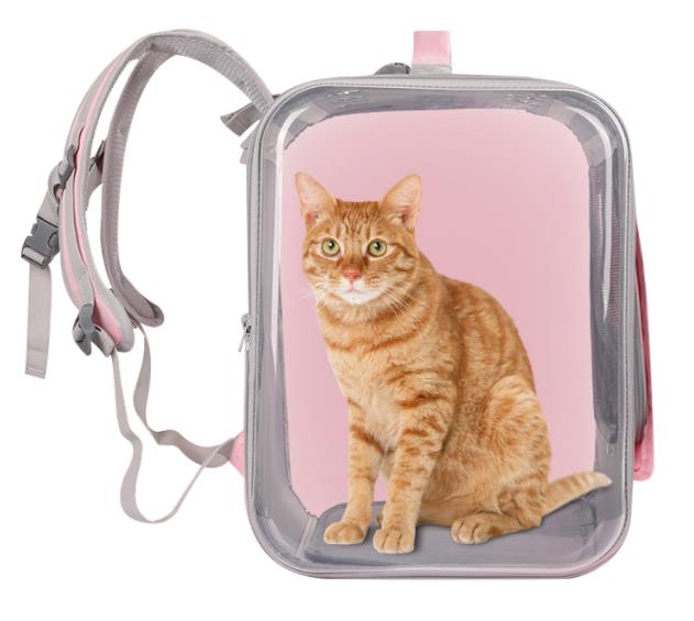 carry on travel backpack