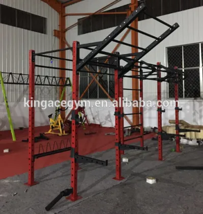 Fitness Equipment/Professional Hammer Strength Ascending Monkey Bar Rig