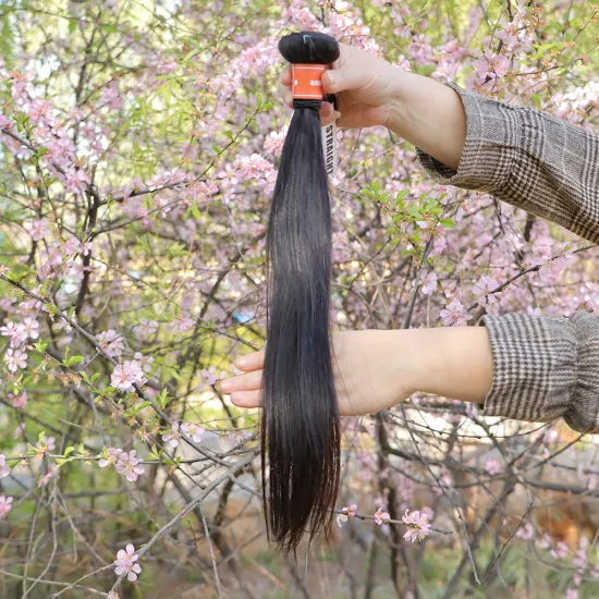 free sample wholesale brazilian hair bundles human,raw virgin brazilian cuticle aligned hair,8a grade virgin mink brazilian hair