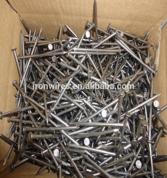 Q195 polished common nails suppliers/ common iron nail price