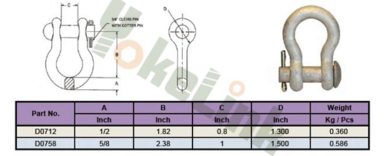 Anchor Shackle1