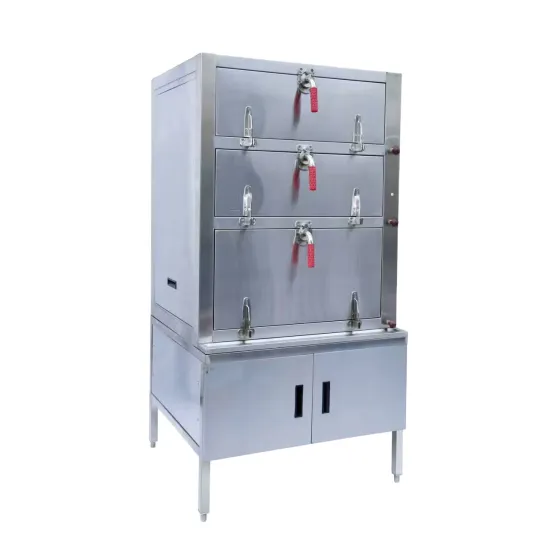Professional Commercial Kitchen Equipment: Selecting Heavy Duty Gas and Electric Food Steamers