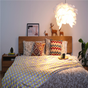 Indoor Double Layer Smooth Colorful Printed Bed Blanket