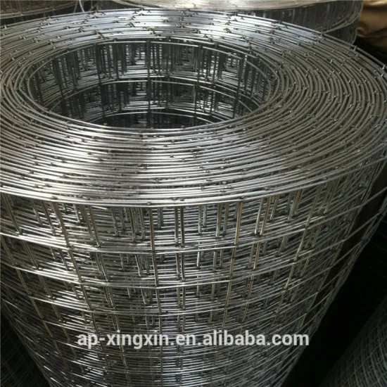 Alibaba China anping Superior quality galvanized welded wire mesh (28 years factory) (I - 045)