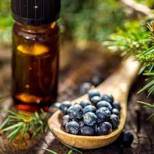 Juniper Berry Essential Oil Uses & Benefits - Dr. Axe