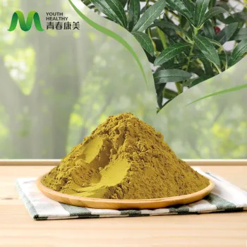 Premium Olive Extract Benefits