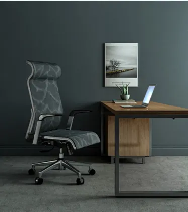 Sihoo Office Chair