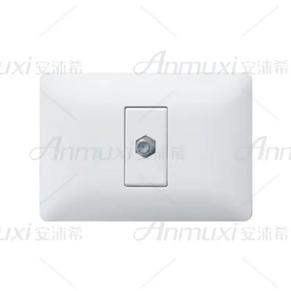 Satellite TV Switch Socket
