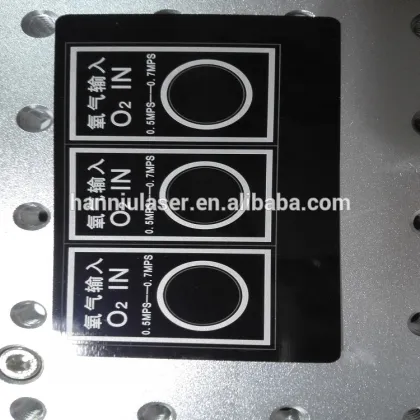 ML-10 175*175mm fiber 10w photograph laser machine