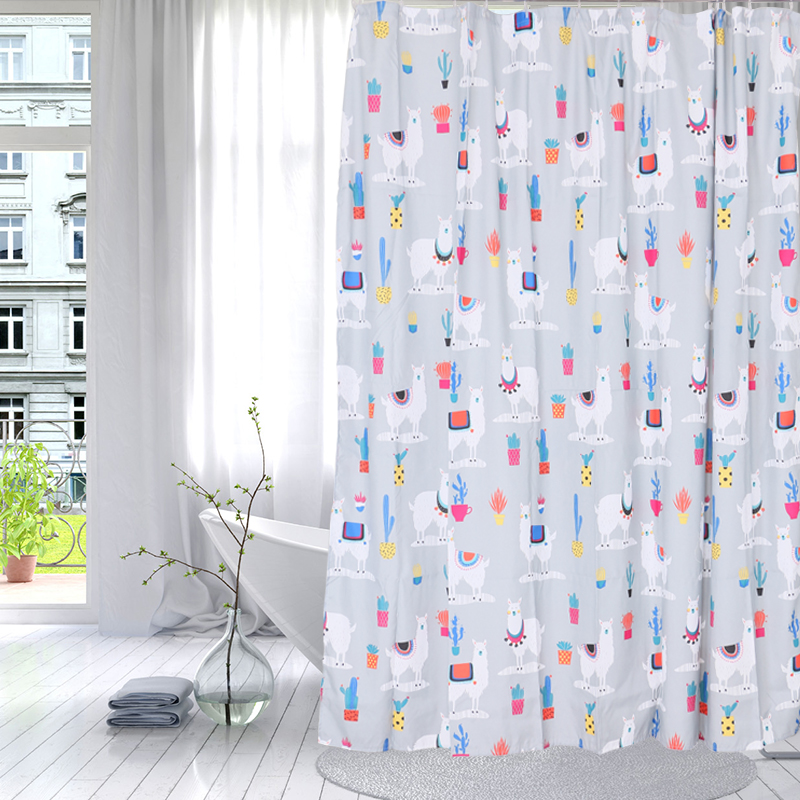 shower curtain