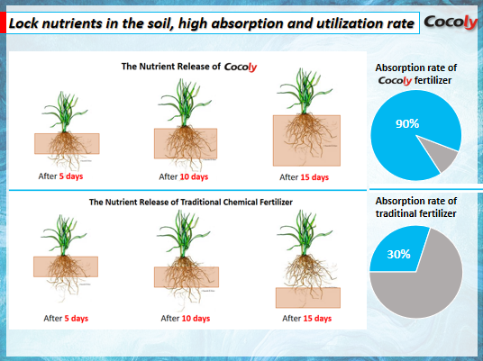 2Cocoly, the 1st granular water-soluble fertilizer in China