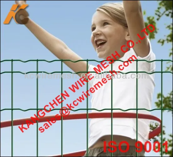Hot!!!!!!!! KANGCHEN welded pvc coated dutch fence/Dutch Woven Wire Netting