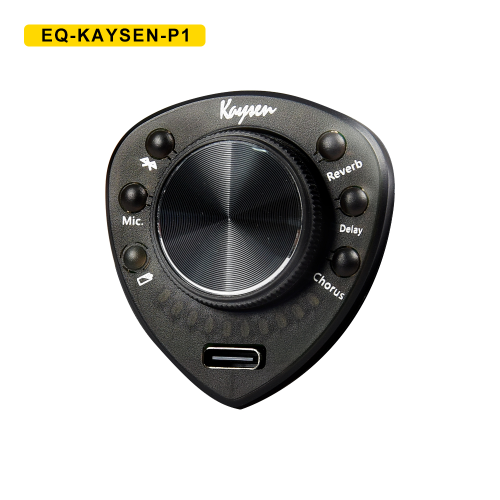 Kaysen Transacoustic Guitar Pick Up Equalizer