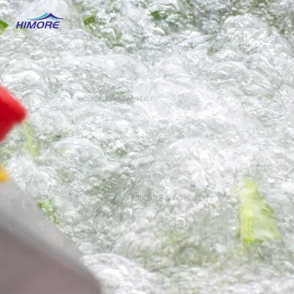 HIMORE Fruit Cleaning Machine Air Bubble Vegetable Washing Machine