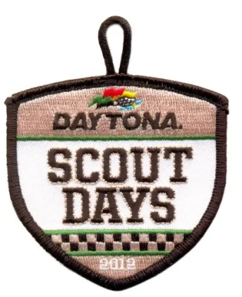 Scout patch 2
