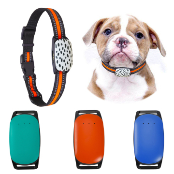 Real-Time Pet GPS Tracker Collar for Dogs and Small Cats: Geo-fence, Voice Pick-up & Tracking Device