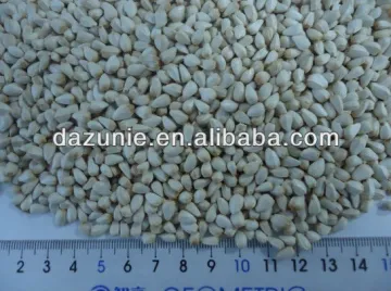 Safflower Seed for Birds