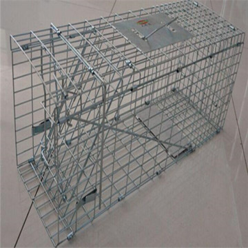 Cesta de malla metálica pollo