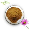 Premium Echinacea Extract