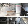 Temperature Standard Automatic Belt Dryer for Garlic Slices