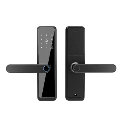 Tuya Smart Home Door Lock