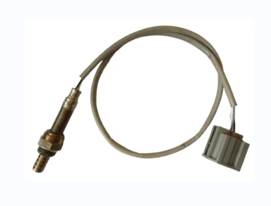 09 Carnival rear oxygen sensor