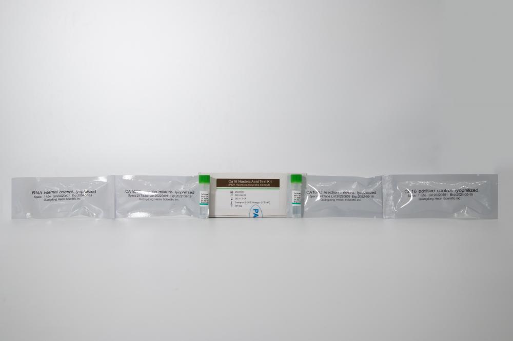 طقم اختبار حمض الحمض النووي CA16 (طريقة مسبار PCR- مضان)
