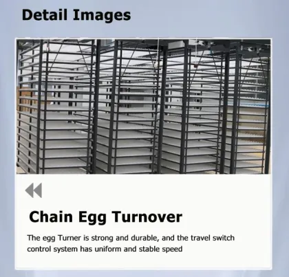 Automatic Digital Chicken Egg Incubators and Hatcher - Model 14784