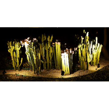 Iluminação de jardim ao ar livre conduzida luz de ponto RGB