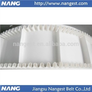 Food Processing Industry conveyor Belt