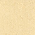 /msite/products/detail/productid/39054159/id/523794.html