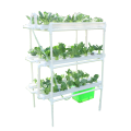 PVC Vertical Nft Indoor hydroponic growing equipment