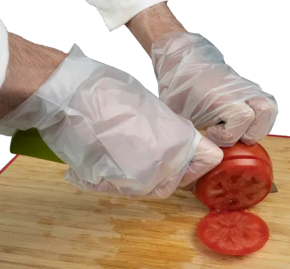 Clear Biodegradable Cornstarch Food Service Plastic Gloves