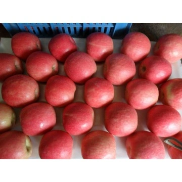 Chinese Low Price Hot Sale Fuji Apple China Manufacturer