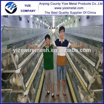 china manufacturer A frame breeder chicken cage system/A frame pullet chicken cage system