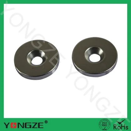 Subwoofer magnet