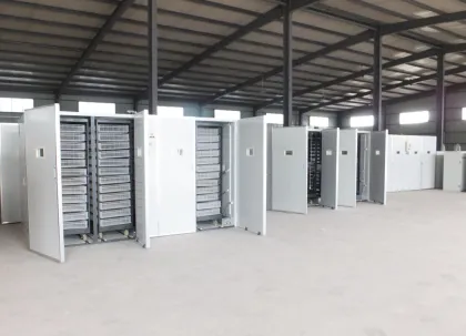 Digital Turkey Incubator Poultry Incubator Machine