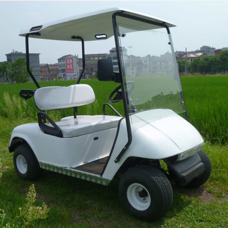 mini electric golf cart