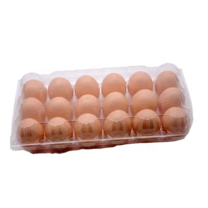 Manufacturer of Egg Tray Plastic Vacuum Thermoforming Machines