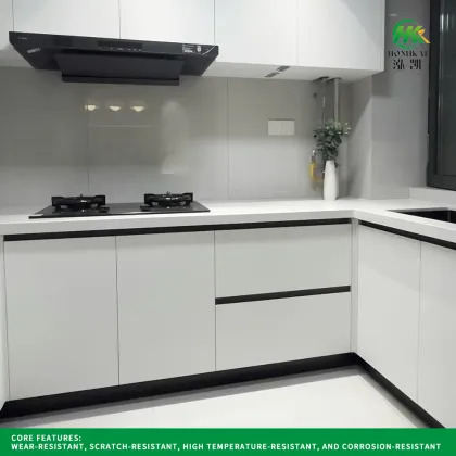 OEM ODM PET Door Panel