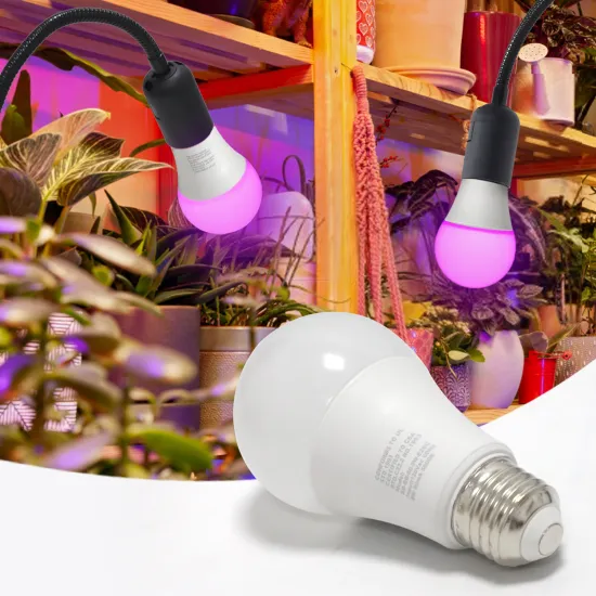 E26 LED Screw-In Grow Bulb 9W: Full Spectrum Light for Indoor Plants and Seed Starting