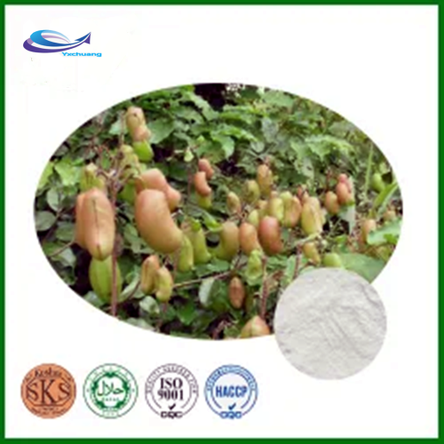 supply Best Quality 5-HTP Griffonia Seed Extract