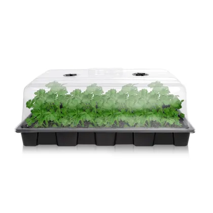 Black Plastic Ventilation Propagator Kit for Seed Germination and Nursery
