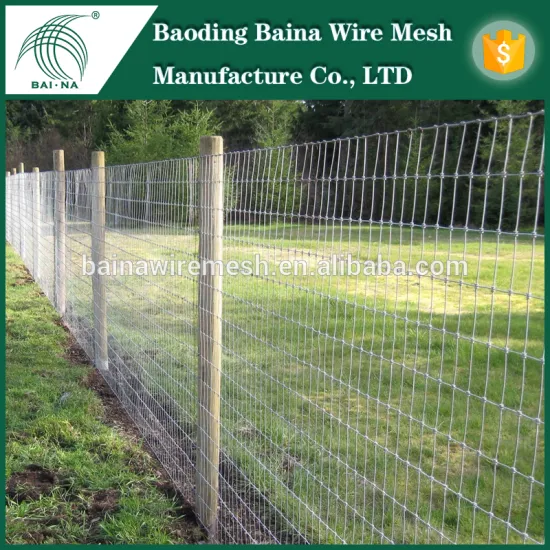 Glassland fence/glassland wire netting for animal enclosure(Factory)